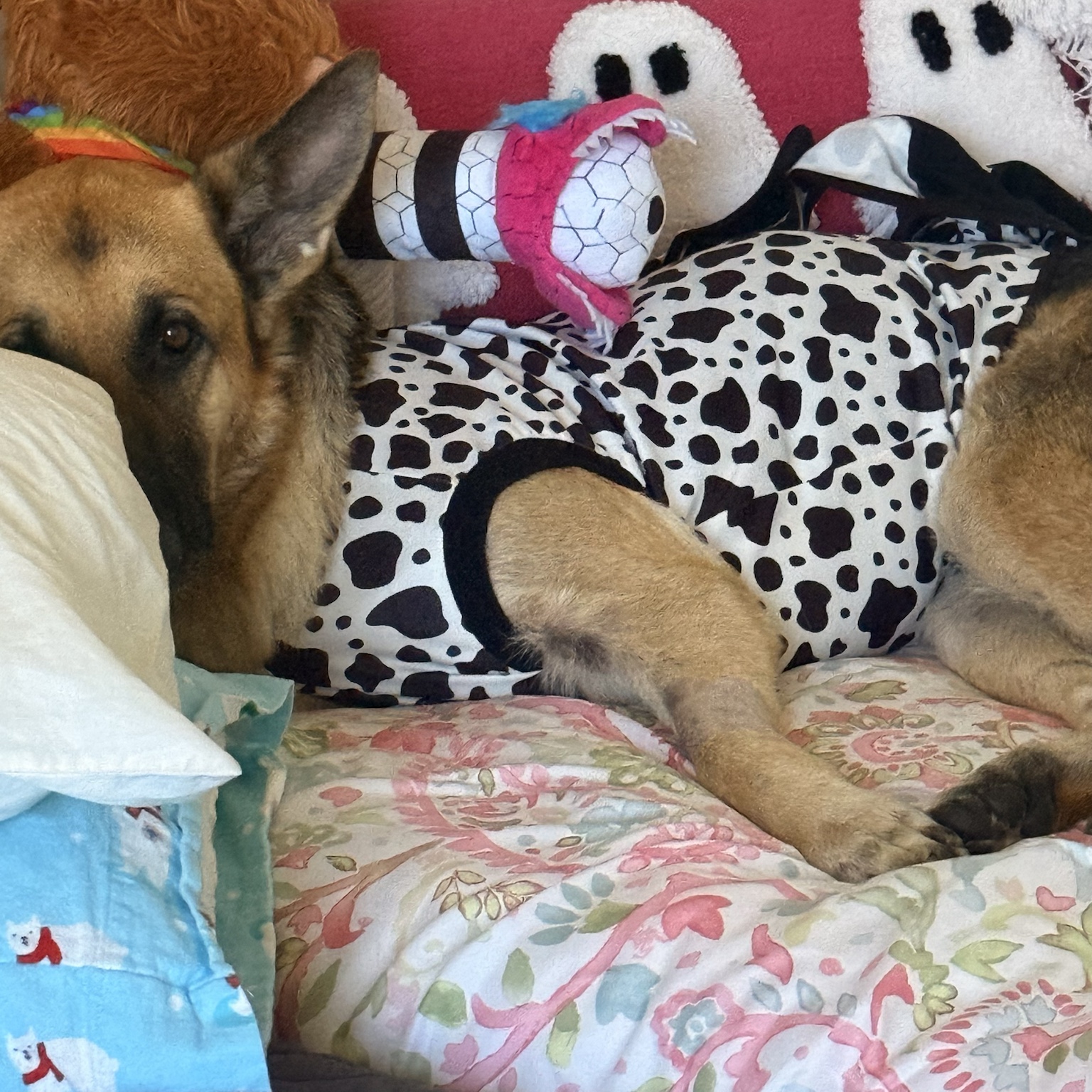 Zara awake and resting in her recovery suit among soft blankets and toys